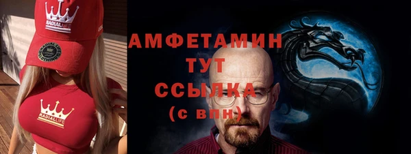 ECSTASY Алзамай