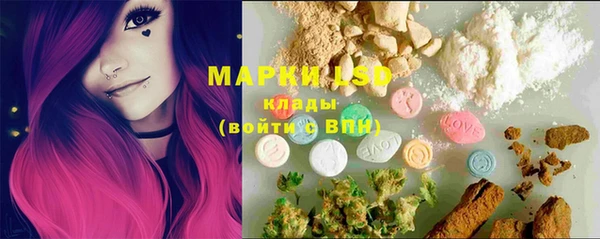 ECSTASY Алзамай