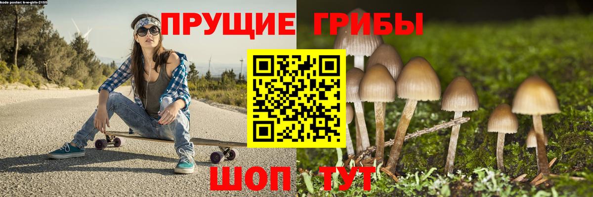 Северодвинск  Псилоцибиновые грибы Cubensis  Галлюциногенные грибы Psilocybe  даркнет сайт  Вход с VPN 